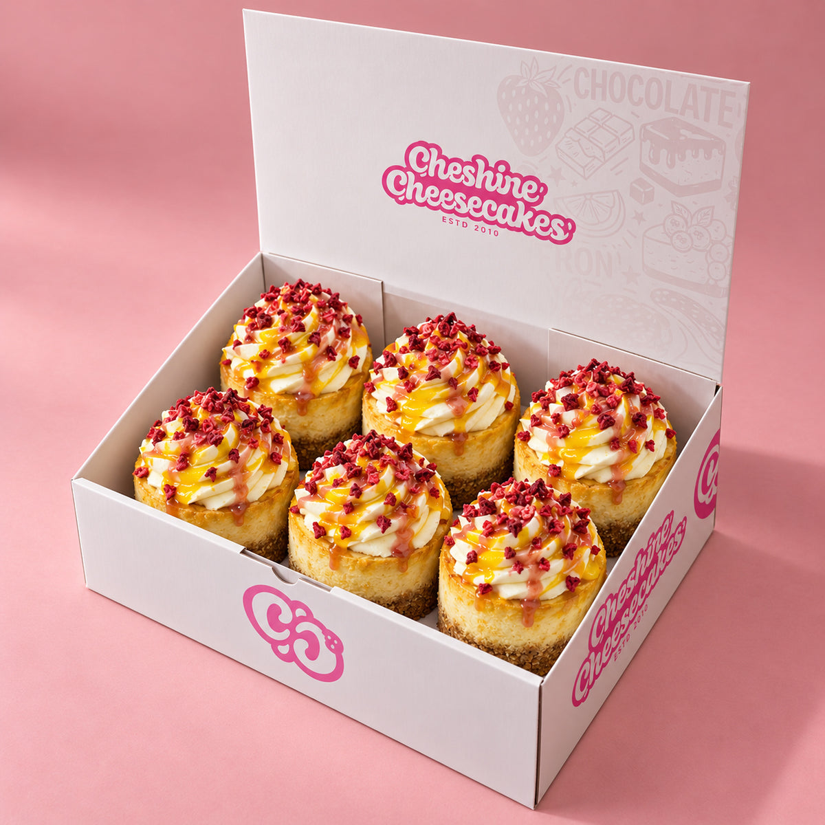 Mango & Raspberry Baked Cheesecake Box — box of 6 in blush studio, approved photographic hero