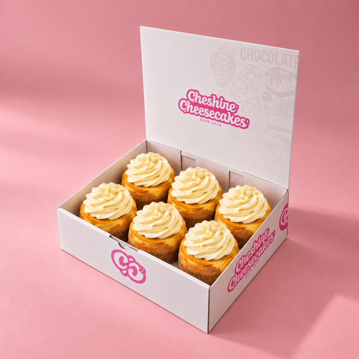 New York Style Vanilla Baked Cheesecake Box — box of 6 in blush studio, approved photographic hero