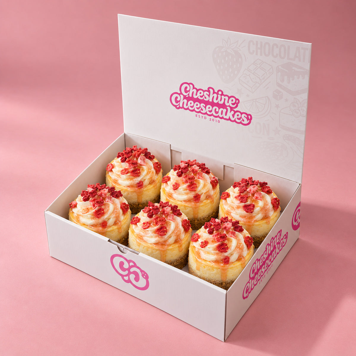 Raspberry & Strawberry Baked Cheesecake Box — box of 6 in blush studio, approved photographic hero