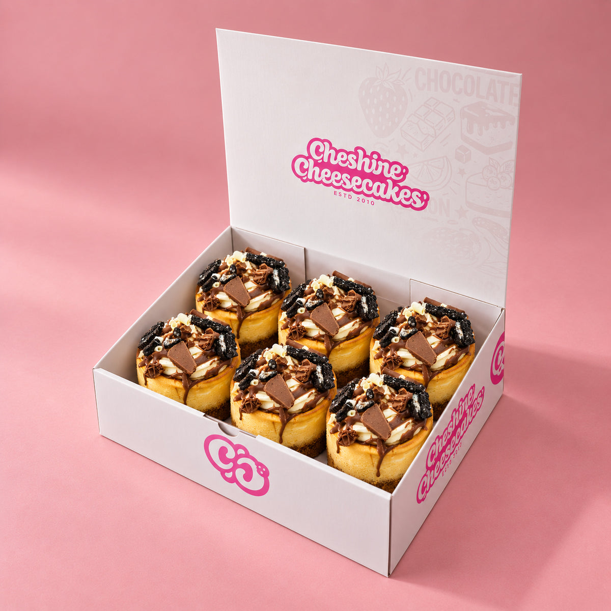 Ultimate Chocolate Baked Cheesecake Box — box of 6 in blush studio, approved photographic hero