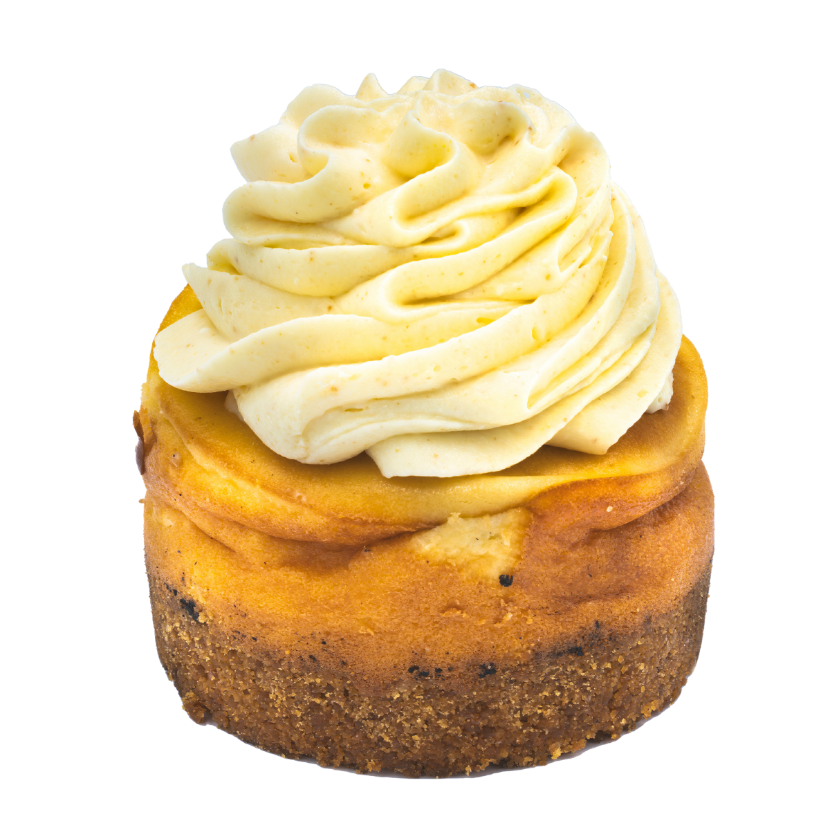 New York Style Vanilla Baked Cheesecakes