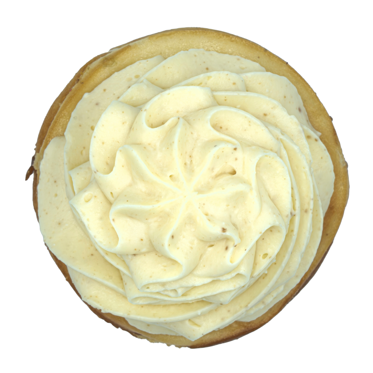 New York Style Vanilla Baked Cheesecakes